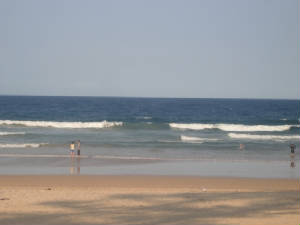 Surf's Up