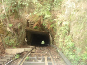 Into the abyss